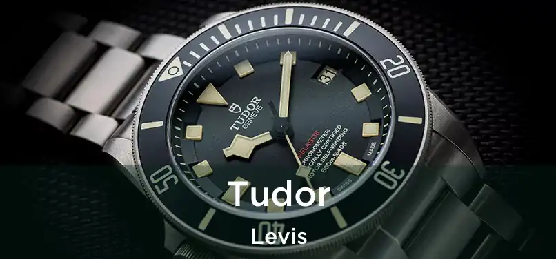  Tudor Levis